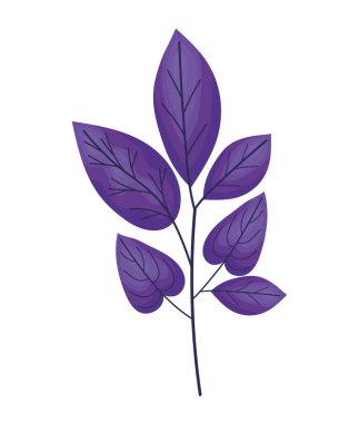 güzel mor yapraklar