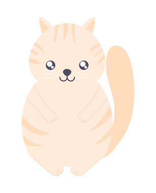 Şirin kedi duruyor.