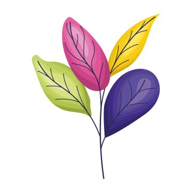 Şirin renkli yapraklar