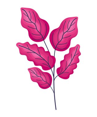 güzel pembe yapraklar