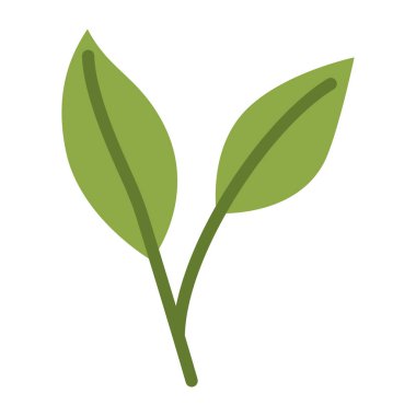 Şirin yeşil yapraklar