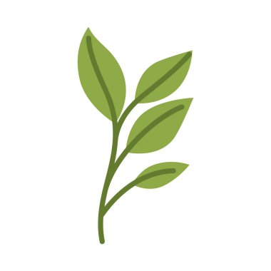 yeşil yapraklar izole