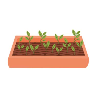 Bitkileri olan bahçe.