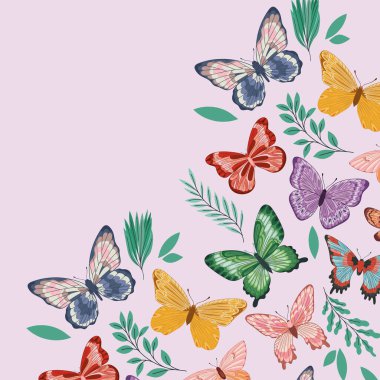 Şirin kelebekler duvar kağıdı