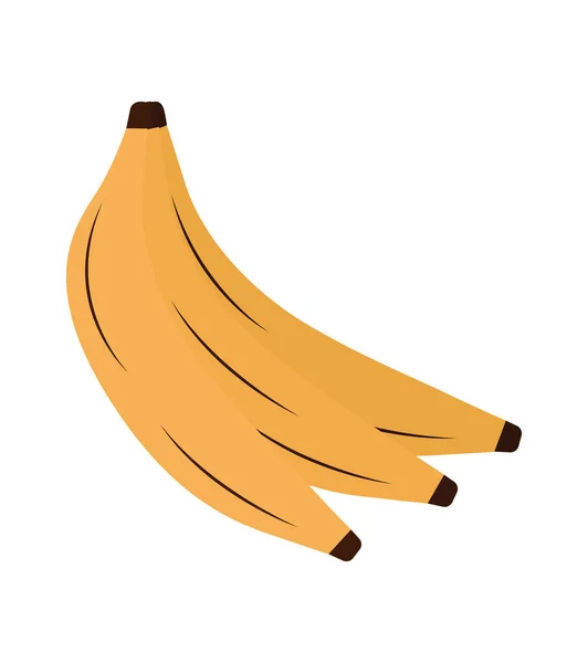 Bananen van verse vruchten — Stockvector