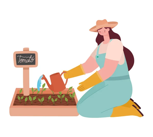Mujer plantando tomate — Vector de stock