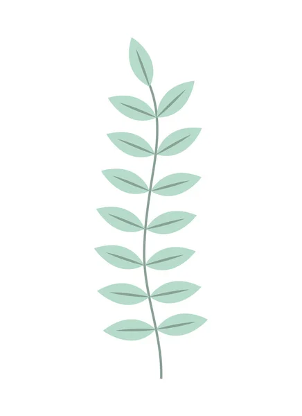 Ljusgröna blad — Stock vektor