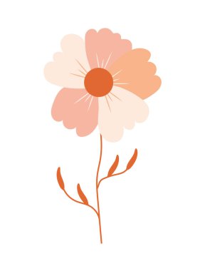 güzel pembe yapraklar