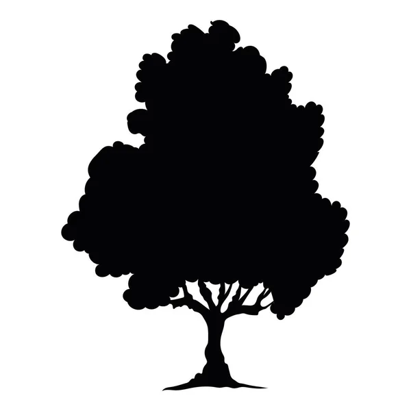 孤立的树干轮廓 — 图库矢量图片