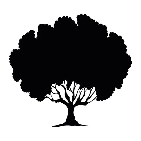 Σχεδιασμός σιλουέτας δένδρου — Διανυσματικό Αρχείο