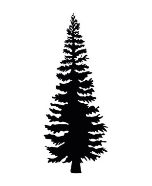 bagaj siluet tasarımı