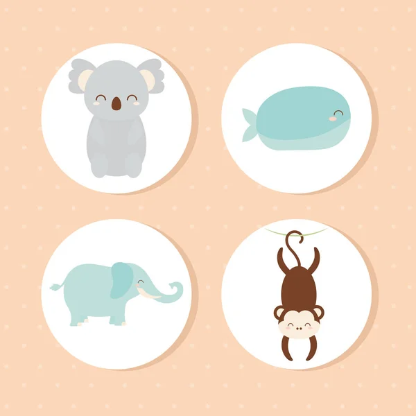 Four animals icons — Stock Vector