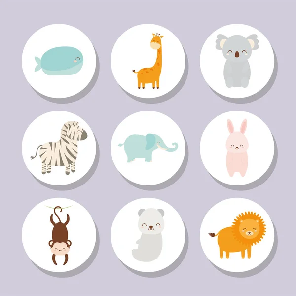 Iconos de animales bebé — Vector de stock