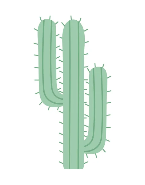 Cantik cactus representasi - Stok Vektor