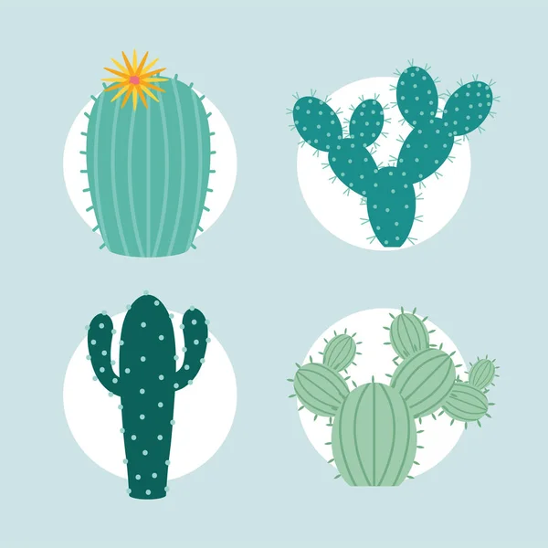 Quatre éléments de cactus — Image vectorielle