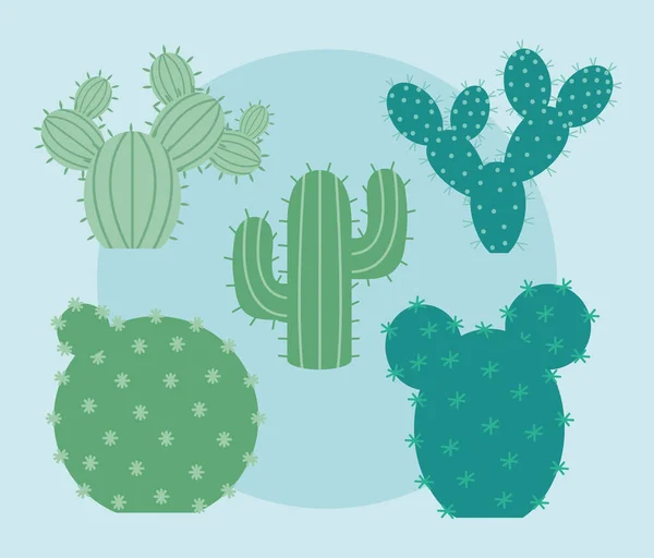 Cinq éléments de cactus — Image vectorielle