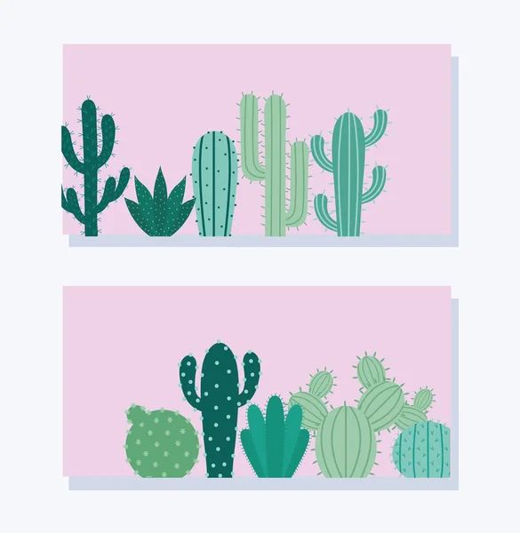 Cartes de cactus verts — Image vectorielle