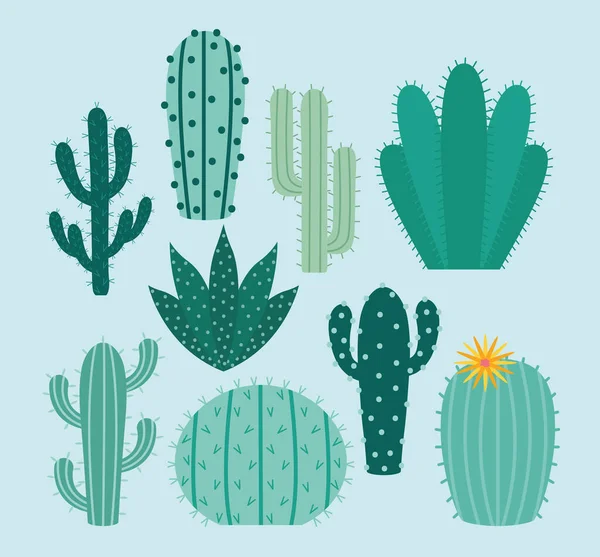 Paquet d'articles de cactus — Image vectorielle