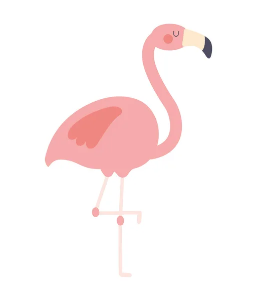 Pěkný růžový flamingo — Stockový vektor