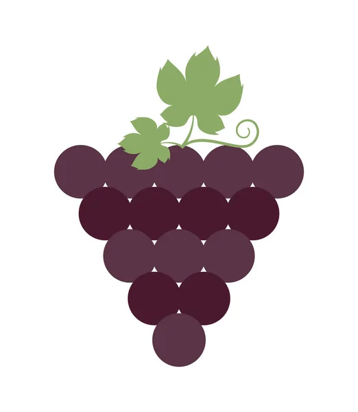 Racimo de uvas — Vector de stock