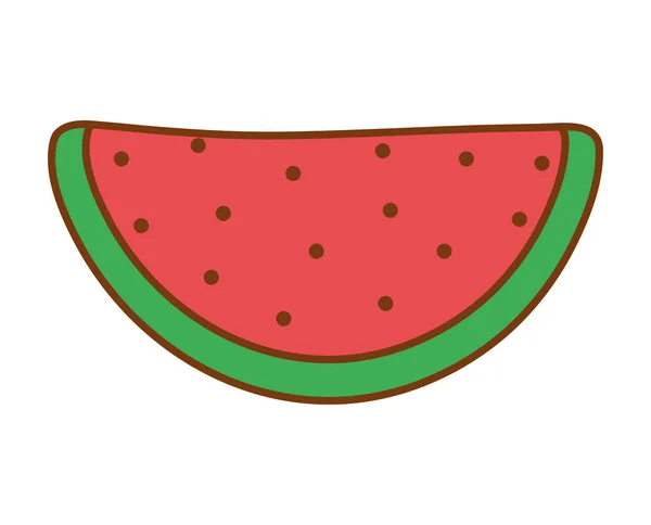 Melon d'eau fruits frais — Image vectorielle