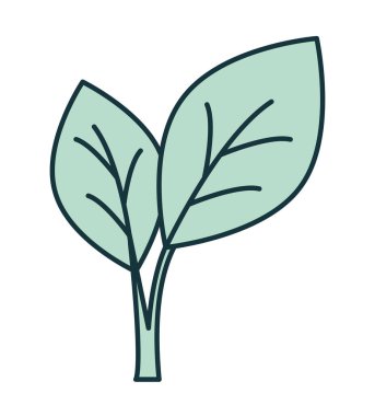 yeşil yapraklar gösterimi