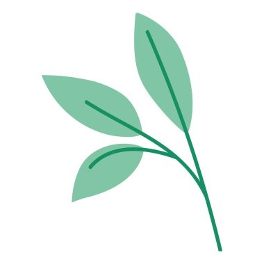 güzel yeşil yapraklar