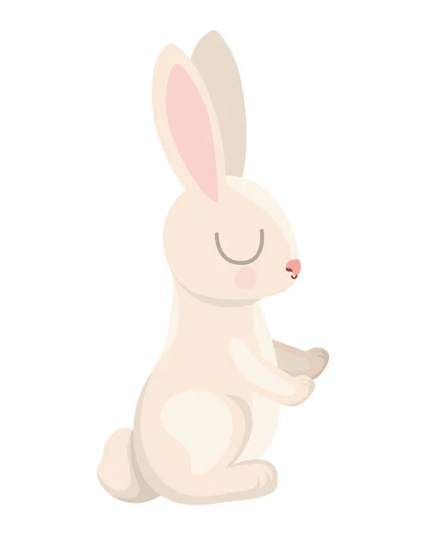 Sevimli tavşan tasarımı — Stok Vektör