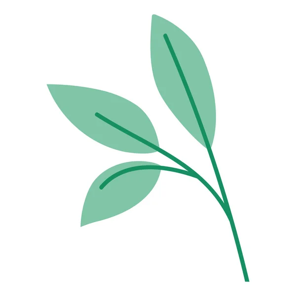 Pěkné zelené listy — Stockový vektor
