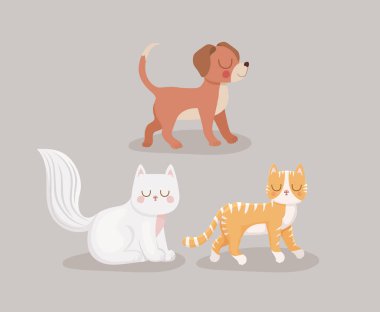 Gülümseyen üç hayvan