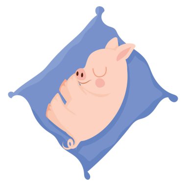 Güzel domuzcuk dinleniyor.