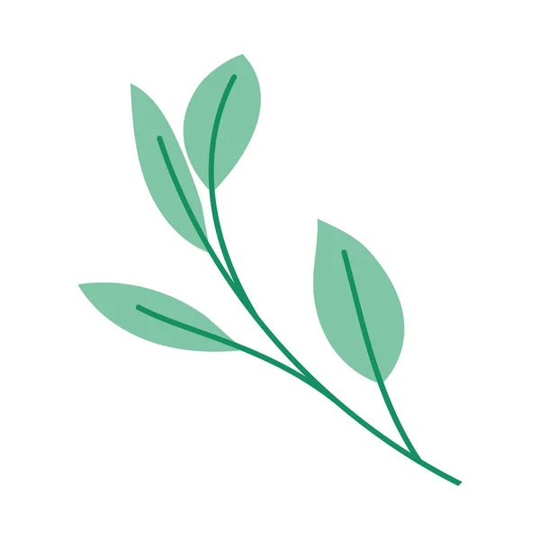 葉と茎 — ストックベクタ