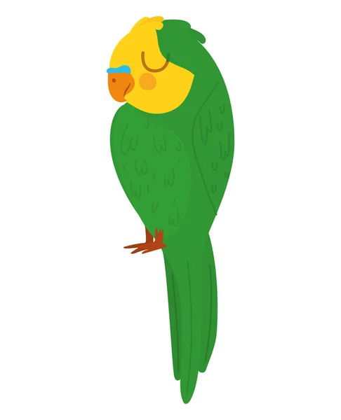 Симпатичный дизайн попугая — стоковый вектор