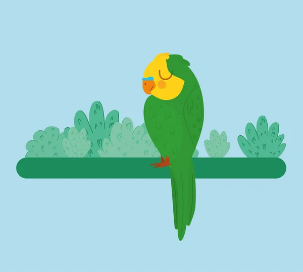 Bonito loro ilustración — Vector de stock