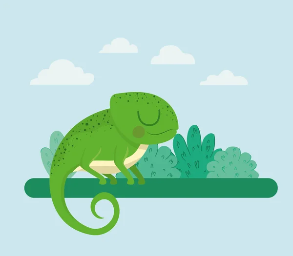 Güzel iguana illüstrasyonu — Stok Vektör