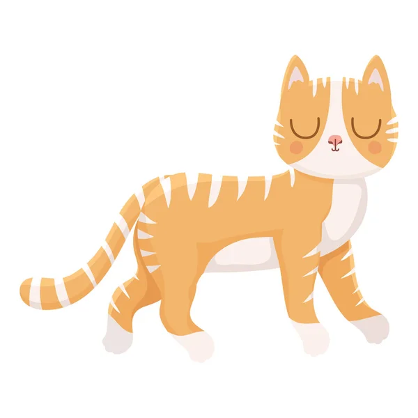 Pretty cat illustration — Stock Vector