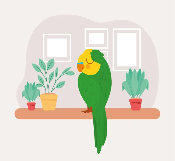 Representação de papagaio bonita — Vetor de Stock