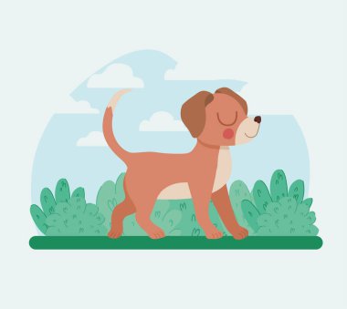 Yavru köpek ve çalılar