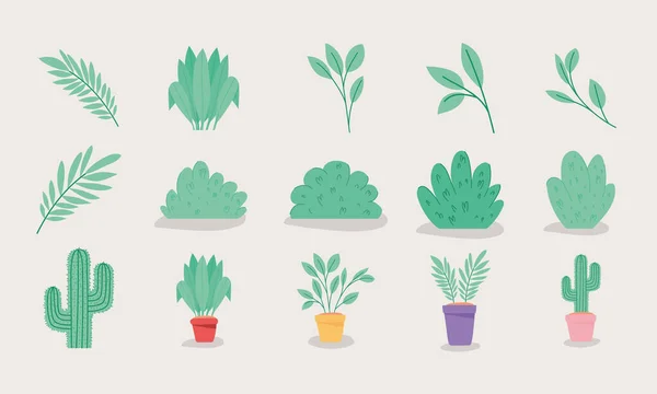 Plantes vertes articles — Image vectorielle