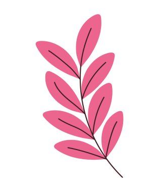 Güzel pembe yapraklar