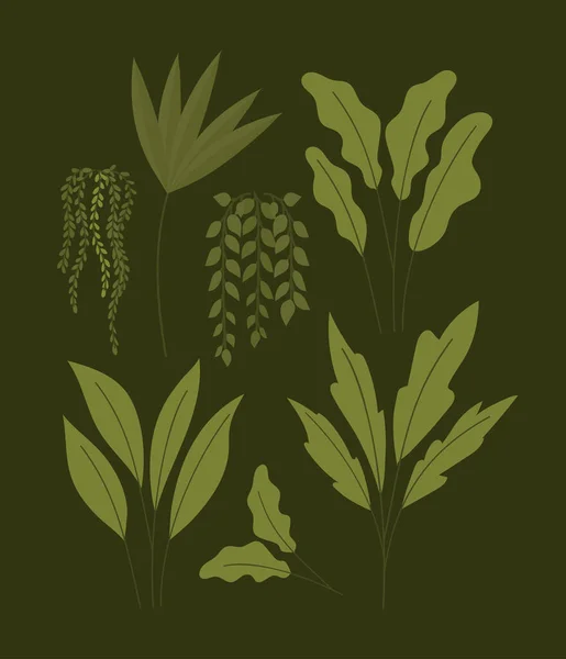 Verschillende soorten planten — Stockvector