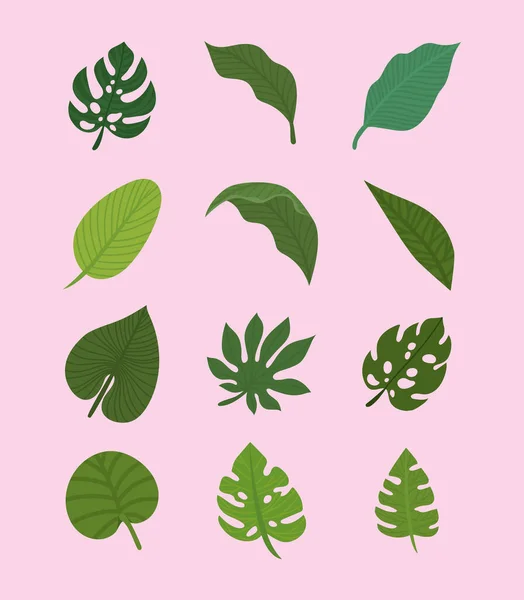 Diseño de doce hojas — Vector de stock