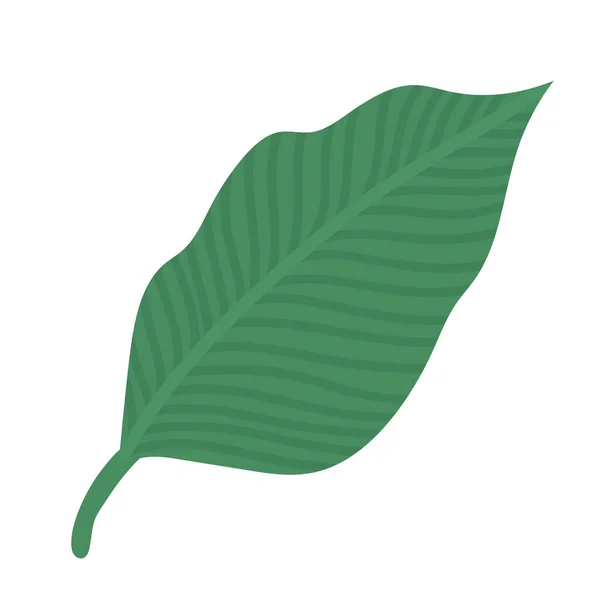 잎의 디자인 — 스톡 벡터
