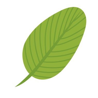 pürüzlü yaprak tasarımı