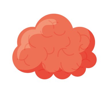 pembe beyin tasarımı