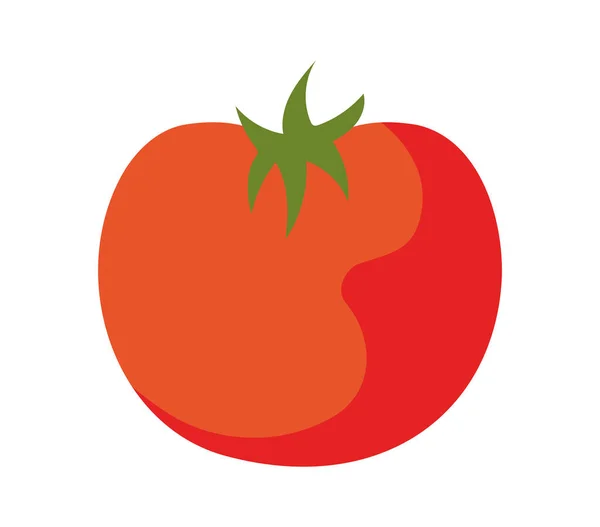 Red tomato illustration — Stock Vector