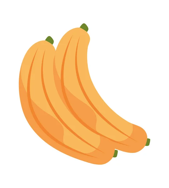 Pair of bananas — Stock Vector