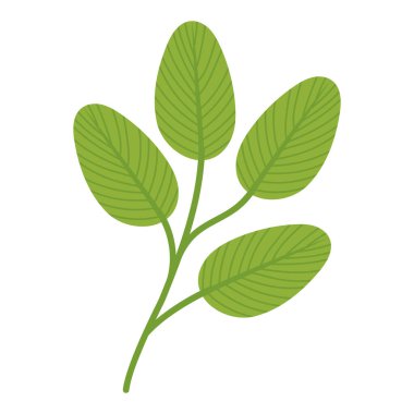 pürüzlü yaprak tasarımı