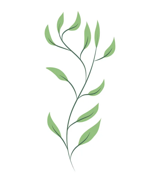 정원 나뭇잎 삽화 — 스톡 벡터