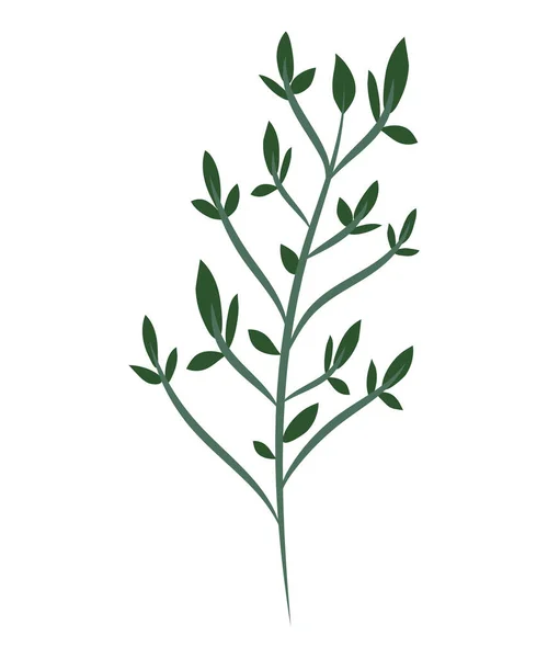 Illustration de plantes forestières — Image vectorielle